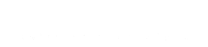 Flight Profiler &trade;